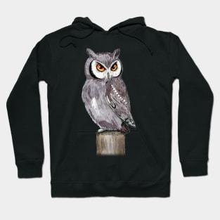 A watercolor drawing of a white-faced owl Hoodie